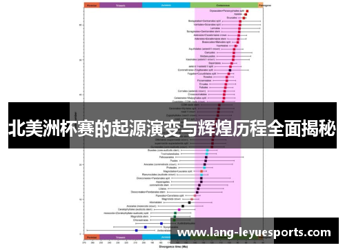 北美洲杯赛的起源演变与辉煌历程全面揭秘 北美洲杯赛的起源演变与辉煌历程全面揭秘