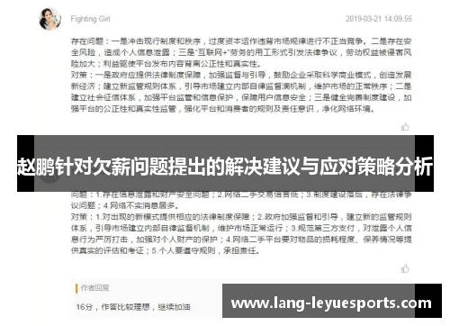 赵鹏针对欠薪问题提出的解决建议与应对策略分析